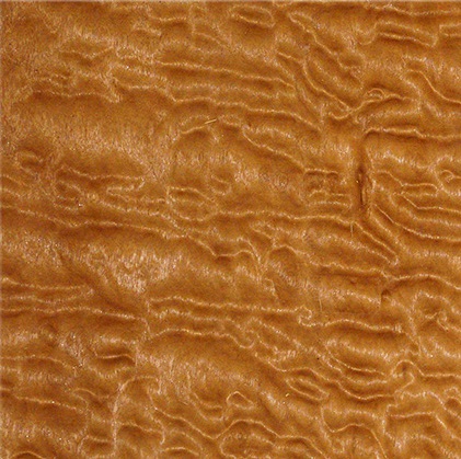 Боссе-Помеле