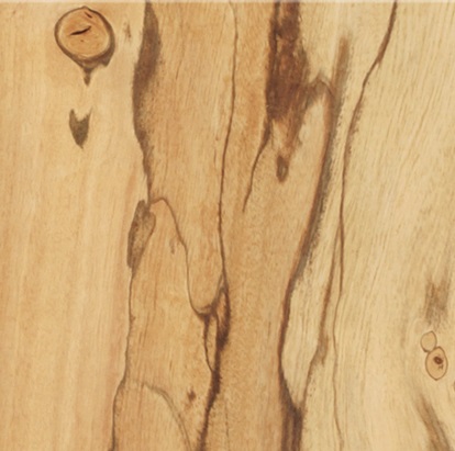 Черепаховое дерево